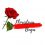 LOGO_FLORISTERIA_BUGA